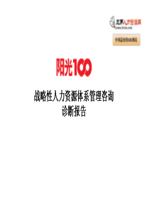 阳光100战略性人力资源体系管理咨询诊断报告