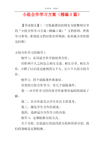 小组合作学习方案（精编3篇）