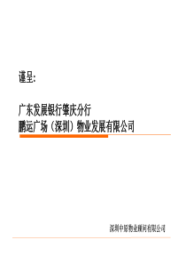 中原-深圳东门天下商业地产项目推广方案