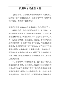 反腐败总结报告3篇