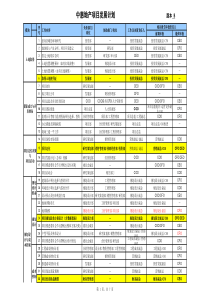 中惠地产项目开发发展计划表