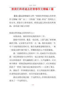 致我们终将逝去的青春作文精编3篇