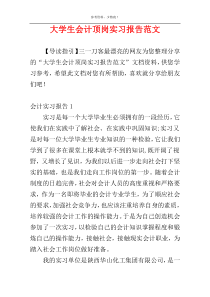 大学生会计顶岗实习报告范文