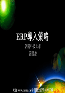 ERP导入策略(ppt 25)