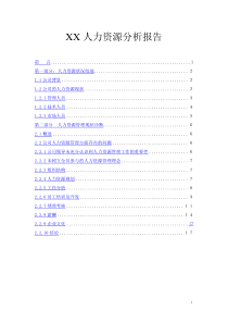 XX人力资源分析报告(doc17)