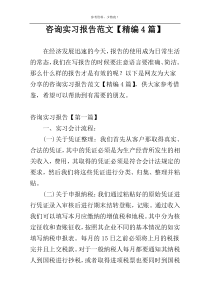 咨询实习报告范文【精编4篇】