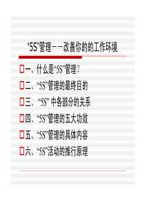 人力资源管理_5S管理（PDF53页）