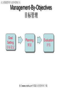 人力资源管理与竞争优势(下)(ppt 324页)