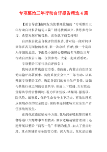 专项整治三年行动自评报告精选4篇