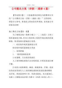 公司整改方案（详情）（最新4篇）