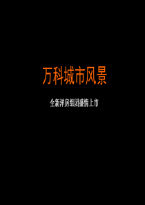 【房地产】中山万科城市风景开盘演示