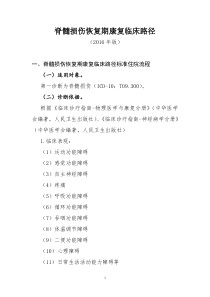 160脊髓损伤恢复期康复临床路径