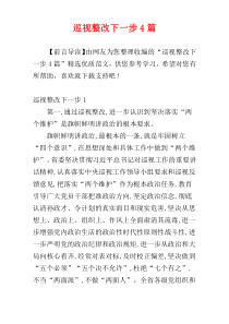 巡视整改下一步4篇