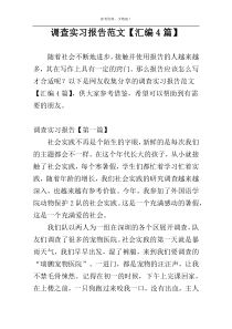 调查实习报告范文【汇编4篇】