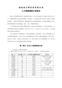 人力资源分析报告(dd)