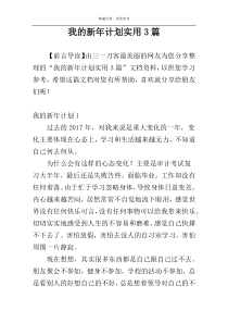 我的新年计划实用3篇